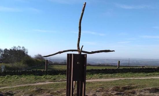 Chevin Cross 2020 - 1